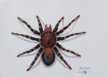 Dibujo titulada "Araignée" por Althea, Obra de arte original