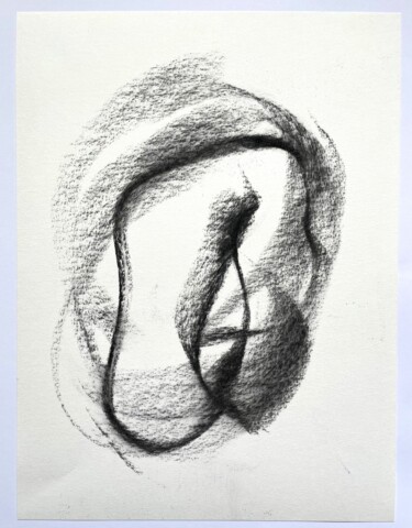 Dessin intitulée "Organic forms1" par Altone Mishino, Œuvre d'art originale, Fusain