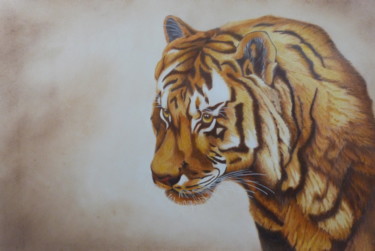 Dibujo titulada "Le tigre" por Daniel Alvarez, Obra de arte original, Lápiz