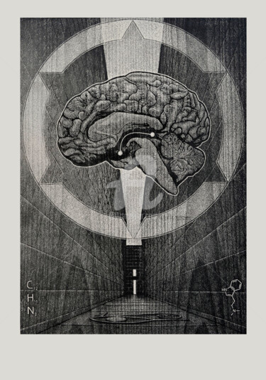 Printmaking titled "“La Puerta”" by Alvaro García Lema, Original Artwork, Xylography