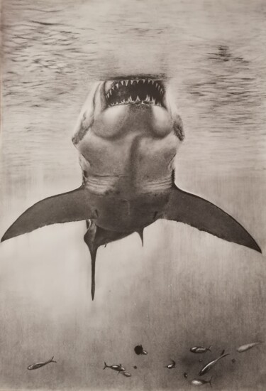 Dibujo titulada "Gran tiburón blanco" por Álvaro Urbanos Jiménez, Obra de arte original, Grafito Montado en Panel de madera