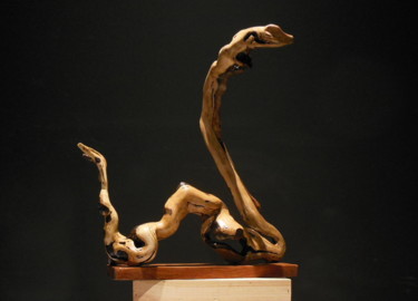 Sculpture intitulée "Nessie" par Anne Marie O'Donovan, Œuvre d'art originale, Bois