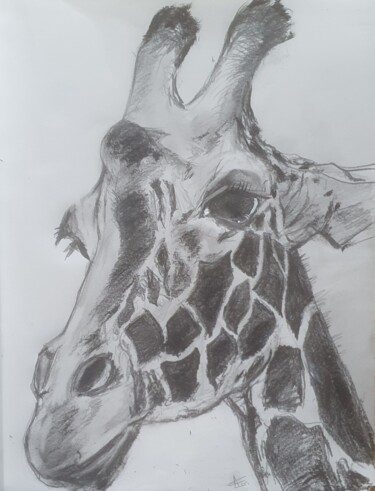 Dessin intitulée "La girafe" par Amandine Eon, Œuvre d'art originale, Crayon