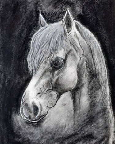 Drawing titled "The Pale Horse" by Amazeigh Bouzékri, Original Artwork, Charcoal
