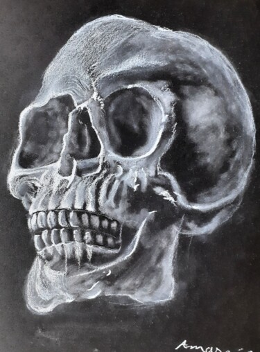 Drawing titled "Human Skull" by Amazeigh Bouzékri, Original Artwork, Charcoal