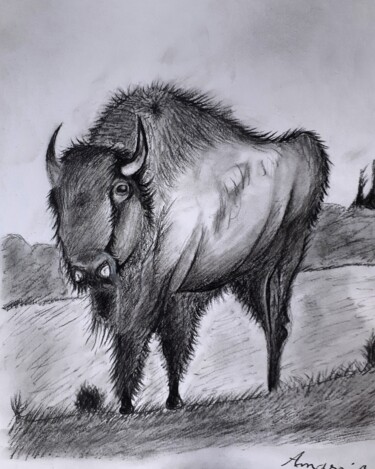 Dessin intitulée "Un Bison Dans Une P…" par Amazeigh Bouzékri, Œuvre d'art originale, Graphite