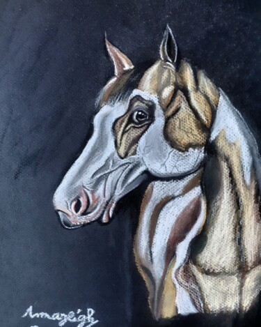 Dessin intitulée "Heart Shaped Horse" par Amazeigh Bouzékri, Œuvre d'art originale, Conté