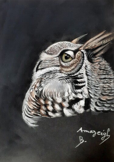 Zeichnungen mit dem Titel "A Howl in the Darkn…" von Amazeigh Bouzékri, Original-Kunstwerk, Pastell