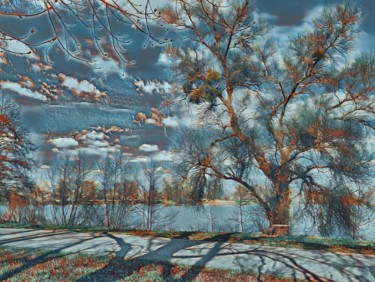 Central park with pond - Parc central avec étang Arts numériques intitulée "Central park with p…" par Amazing Pictures, Œuvre d'art originale, Travail numérique 2D