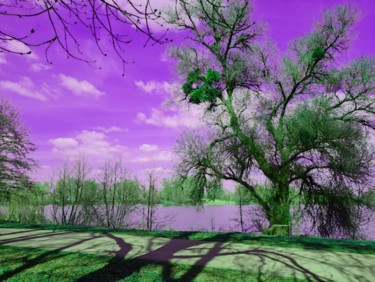 Ciel mauve Digitale Künste mit dem Titel "Ciel mauve" von Amazing Pictures, Original-Kunstwerk, 2D Digital Work