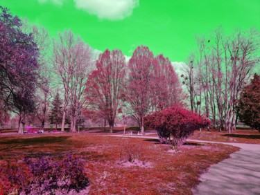 Arts numériques intitulée "Ciel vert effrayant" par Amazing Pictures, Œuvre d'art originale, Travail numérique 2D