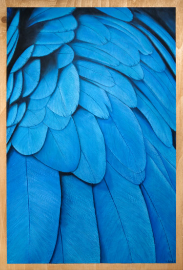 Blue Ara Peinture intitulée "Blue Ara" par Aline Belliard, Œuvre d'art originale, Pastel