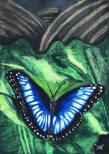 Drawing titled "Papillon" by Ambre Kalène, Original Artwork, Pastel Mounted on Plexiglass