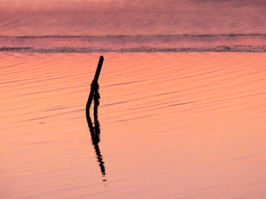 Reflet Gruissan Photographie intitulée "Reflet Gruissan" par Ambre Claude, Œuvre d'art originale, Photographie numérique