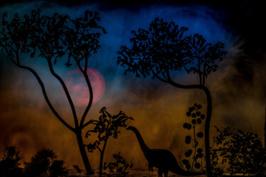 Photographie intitulée "La dernière lune de…" par Amel Milady (Le mutagraphe), Œuvre d'art originale, Autre
