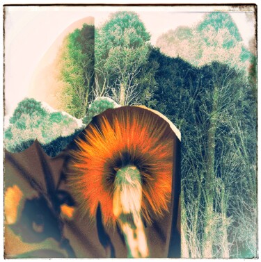 Digitale Kunst mit dem Titel "The Spirit of Ash-S…" von Amelia Latiff, Original-Kunstwerk, Fotomontage