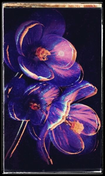Arte digital titulada "Las Flores" por Amelia Latiff, Obra de arte original, Trabajo Digital 2D