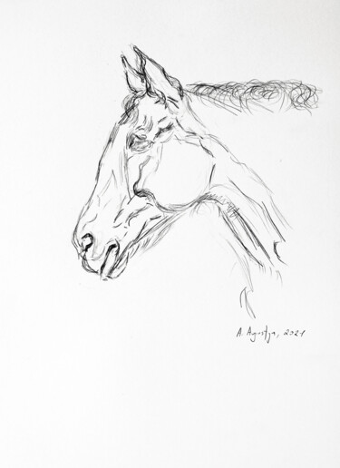 Zmęczony Drawing titled "Zmęczony" by Amelia Urszula Augustyn, Original Art, Pencil
