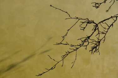 Photography titled "WINTER TREE - SERIE…" by Amélie Achard, Original Artwork, Digital Photography
