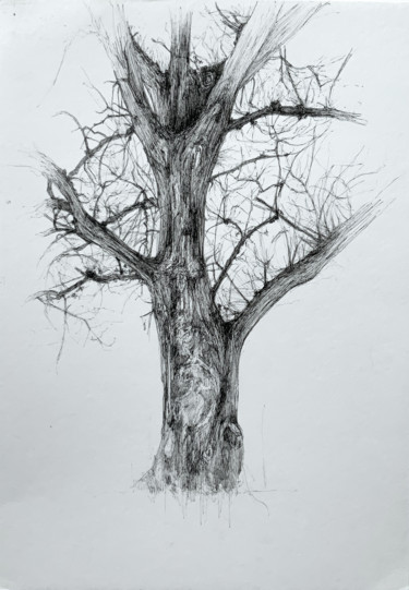 Zeichnungen mit dem Titel "Arborescence #1" von Amélie Helmstetter, Original-Kunstwerk, Gel Stift