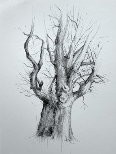 Drawing titled "Arborescence #2" by Amélie Helmstetter, Original Artwork, Gel pen