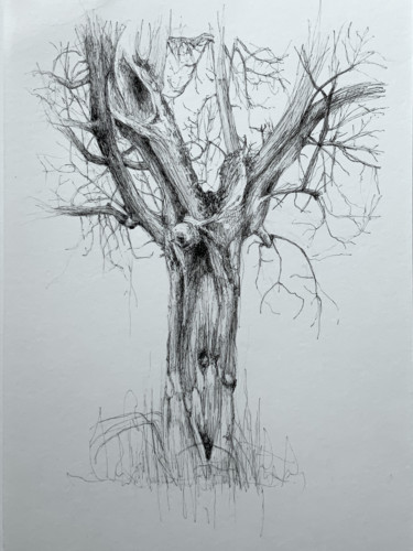 Drawing titled "Arborescence # 3" by Amélie Helmstetter, Original Artwork, Gel pen