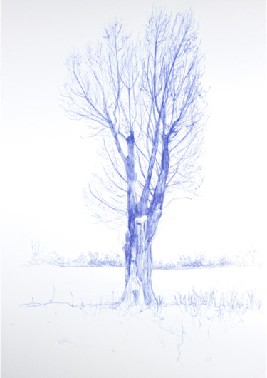 Dibujo titulada "Arborescence #4" por Amélie Helmstetter, Obra de arte original, Bolígrafo