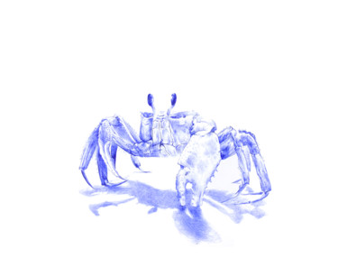 Drawing titled "Crabe" by Amélie Helmstetter, Original Artwork, Ballpoint pen