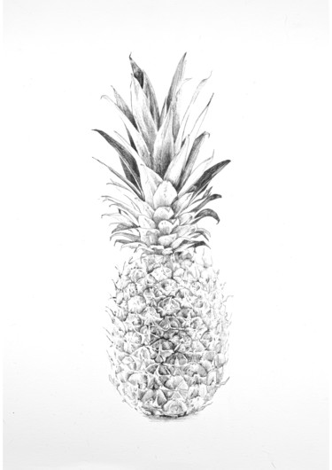 Рисунок под названием "Ananas" - Amélie Helmstetter, Подлинное произведение искусства, Чернила