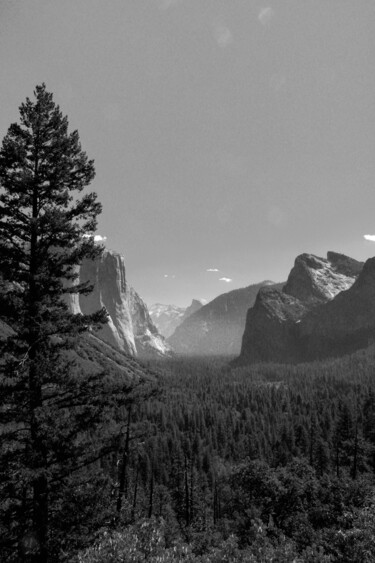 Fotografía titulada "Yosemite I" por Amelie Metzger, Obra de arte original, Fotografía digital
