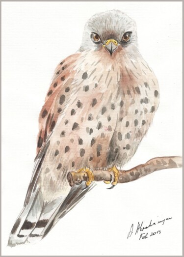 Malerei mit dem Titel "Falke / Falcon" von Amelly Abraham, Original-Kunstwerk