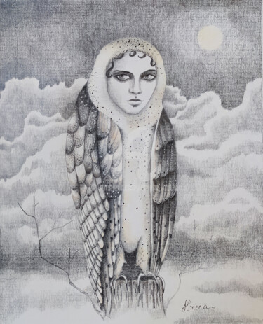 Drawing titled "chouette à tête de…" by Amena Nathan, Original Artwork, Pencil