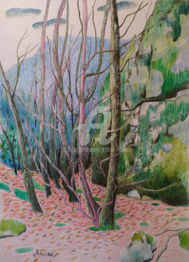 Disegno intitolato "un coin de forêt" da Amena Nathan, Opera d'arte originale, Matita