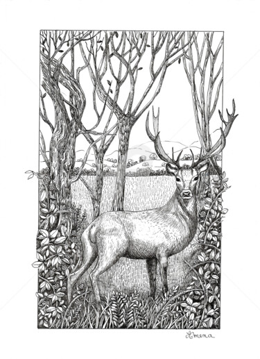 Drawing titled "Le cerf" by Amena Nathan, Original Artwork, Ink
