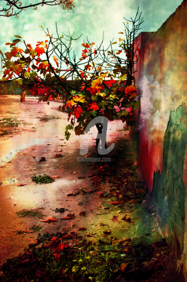 Photographie intitulée "automne" par Ameni Dlala, Œuvre d'art originale