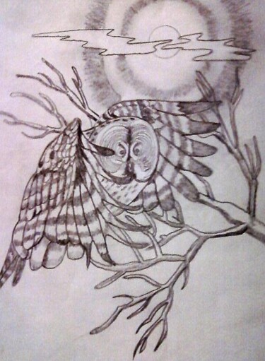 Drawing titled "night owl" by Amey, Original Artwork
