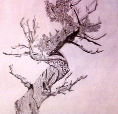 Drawing titled "ancient tree" by Amey, Original Artwork, Other
