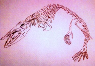 Drawing titled "fossil" by Amey, Original Artwork