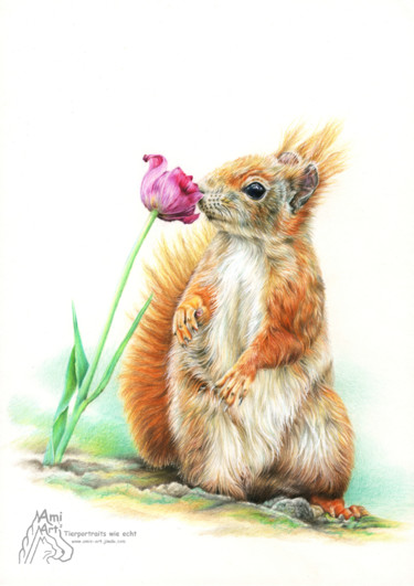 Drawing titled "squirrel.jpg" by Ami Schütz, Original Artwork, Pencil