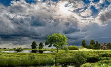 Schilderij getiteld "lonely tree" door Amoralez, Origineel Kunstwerk, 3D-modellering