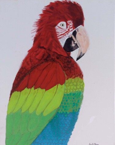 Painting titled "Red Macaw" by Ana Beatriz De Oliveira, Original Artwork, Acrylic