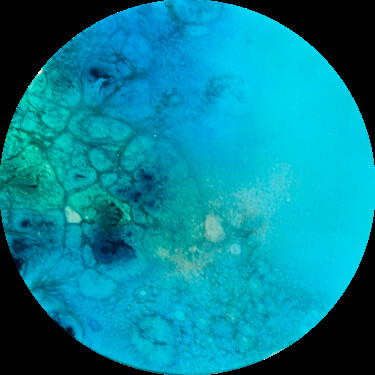 Картина под названием "Round ocean #75" - Ana Hefco, Подлинное произведение искусства, Акрил Установлен на Деревянная панель