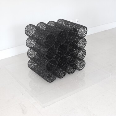 Скульптура под названием "Serie " The Unpredi…" - Ana Lima-Netto, Подлинное произведение искусства, Пластмасса