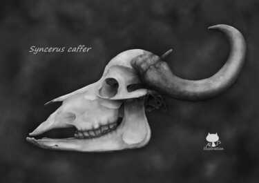 Artes digitais intitulada "Syncerus caffer" por Ana Ribeiro (Ana Ribeiro Illustration), Obras de arte originais, Pintura dig…