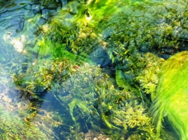 Photographie intitulée "Vert d'eau" par Anne-Marie Bertin, Œuvre d'art originale, Photographie non manipulée
