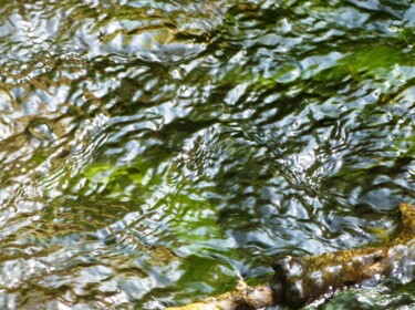 Photography titled "Eaux troubles" by Anne-Marie Bertin, Original Artwork, Non Manipulated Photography
