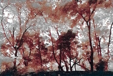 Digital Arts titled "Autumn view in Sint…" by Ana Teresa Dias Da Silva, Original Artwork, Photo Montage