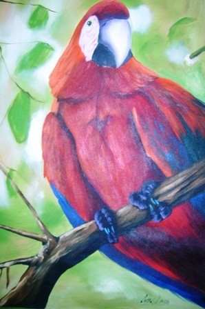 Pintura intitulada "arara vermelha" por Laurindo Joao Dos Santos Lauro, Obras de arte originais