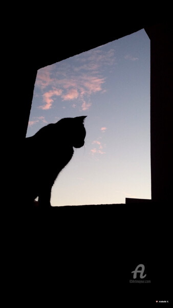 Photographie intitulée "Fenêtre sur crépusc…" par Ana Felidae, Œuvre d'art originale, Photographie numérique