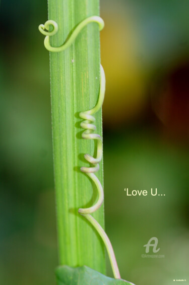 Photographie intitulée "'Love U..." par Ana Felidae, Œuvre d'art originale